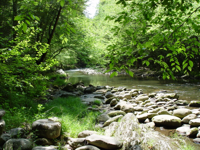 Riachuelo en Gatlinburg - Foto por Yin Zhi Shakya 