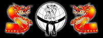 Federacin Internacional de Artes Marciales