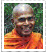 Gunaratana_Mahathera.jpg